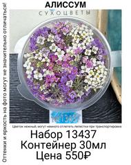 a8cc1e35ca804ad99c8b04575a492904