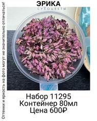 ac101855cfdb4f209bcba29166d48bf1