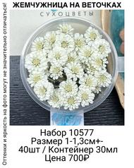 ac241f647da44d6c9886749844a08d5f