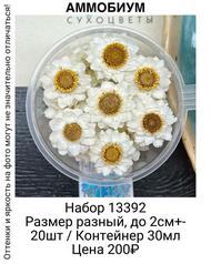 b13cca31d38a4c309d8102e268191661