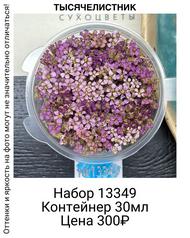 b20c23da895a4959881f9974d81c5587
