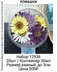 b8f1c751b6d043319ab177603d892a0e