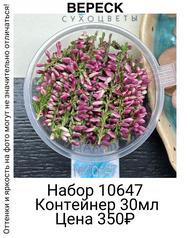 bd0910164fde41e089ed1cc89c51eab8