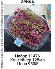 bd2846ca44514258875d162d8166a6a0