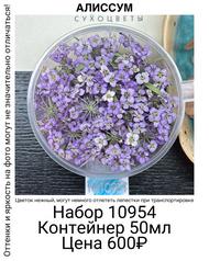 bfca8288f22f4510944e5fd241bd54b9