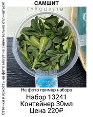 c248ba0a310642cc930c5f6fb308a353