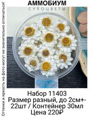 c3da6fe9366a4c308176cb448ca97439