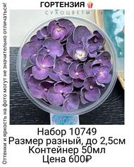 c698820700a84aef9cc6366626315dd1