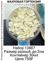 c715e8a97a1647829f5816a0f86d2357
