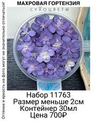 c81c3c83a9254629a10f6d980127ca45