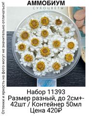 c96c695a0de84d26849e7a3b2ac606ee