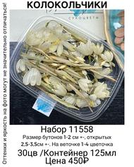 ca28c1578361497ba6abc5a748d770e7