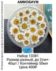 cb3f00e18e854cb0a52482fc3f7c0336