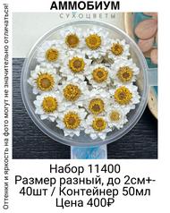 cc100028a38f4ba7b67d4e66e5043a16