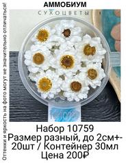 d2b107aa5883498fa0aef8bed2a3ea82