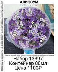d54072d1c9f64f4983932c73ab834487