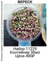 d64baaef12d04939bd3f9cb5d36e2909