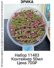 d7c8bc8f13814bedada623e65fd66b04