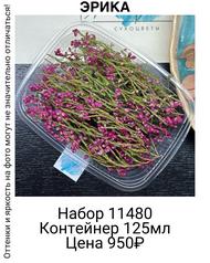 de11b2863ab34c9c9cbfe26e140ea127