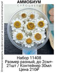 e52949131d434eda9f2ac1b244c30728