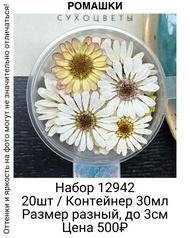 e715a32f7fde4f319e206503688de507