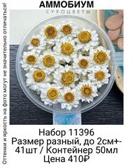 e7d6de4373a84301bf75c0442cca9e29