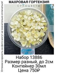 ea2b24163d94487fabff83b9a3cc5dc0