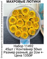 eb21672dd5f64592a9f54611aebc51ff