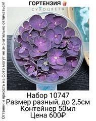 ebba22e7bb0f436a91484a6b12e1e50c