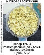 ef8049af10214658bfb45fca16194688