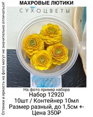 f3119ff394ba4fe7a5de1d21c659059f