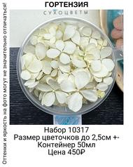 f3b27fbd95d74f278b9af7459d66b006