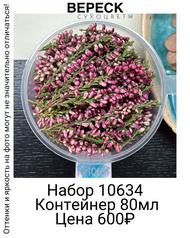 f5351106c79445eb9f8aca1ee54b65f3
