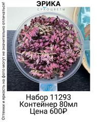 f9151caa0bf74dcd88139005deb61ce5