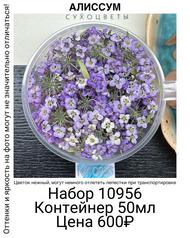 fa6c3b6b8ef64e449e8ff490e1cef086