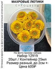 fc13aea16862420ca6c6d77765e0fb89
