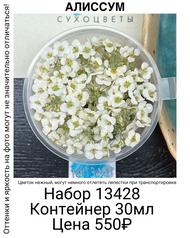 fe75599f507042d3a6b783bd19dff387