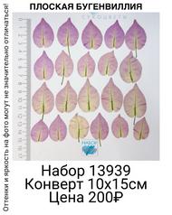 0dbf215385af46568603af8e442984dc