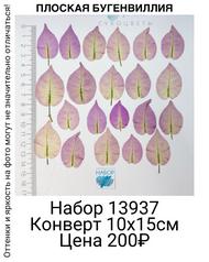 1090e170a8f843eaad1ab49d282335dd