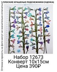 12648f806a1c4ff3a20f25a52e51130b