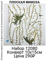 1272dcd390ea4f3a951db14ea85b383e