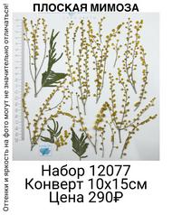 140f129fea03435eb1a1b3fb70601da3