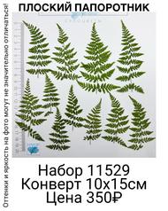 15847b96d7bf49468ae9766b12ed4215