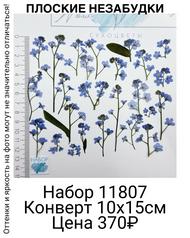 1c14ccfc06f64262a0a43c8ff194ef4e