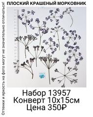 1c792e95ddaf463395bfe1fa22a4d0d5