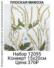 1cb9bd76f5b84bbaac6fcba5f28f499d