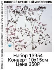 1dd18405ed5f451f999f12bdc9ea8c25