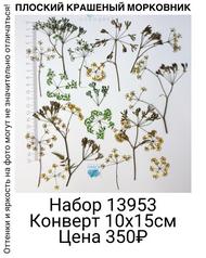 20766c1b6ec044919f4fc807e44f2a07