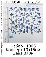 223c9241717b405d825796cdc4ad7d37