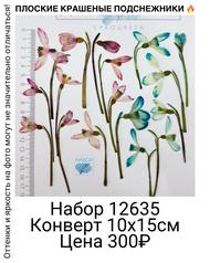 2327e204e2ea460c865600ae2c2751d5